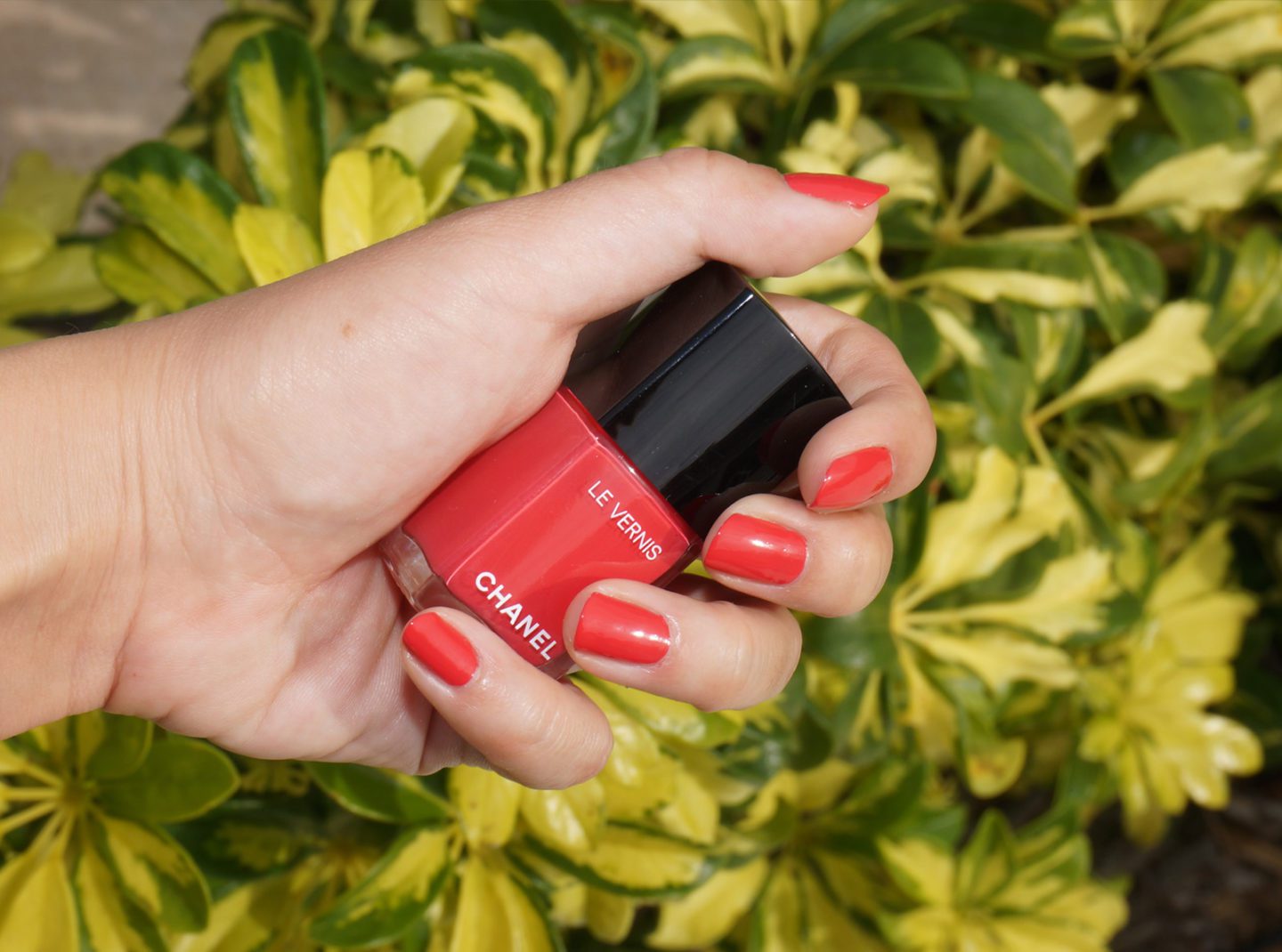 Chanel Le Vernis Resplendissant Swatch | Fashion Groom Spot