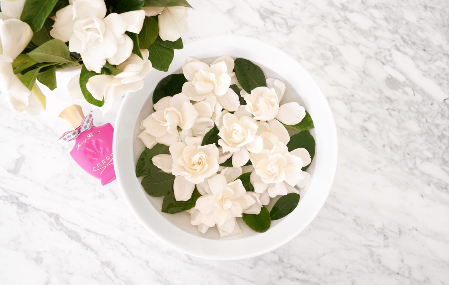 Creed x High Camp Gardenias Spring Flower | Fashion Groom Spot