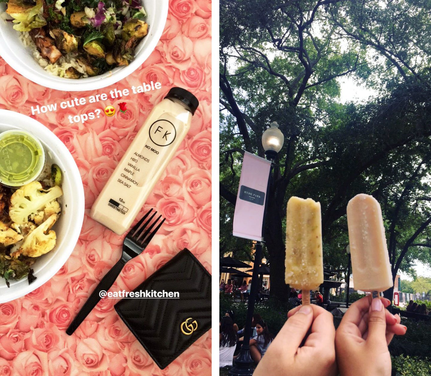 Tampa Fresh Kitchen and Hyppo Pops Hyde Park