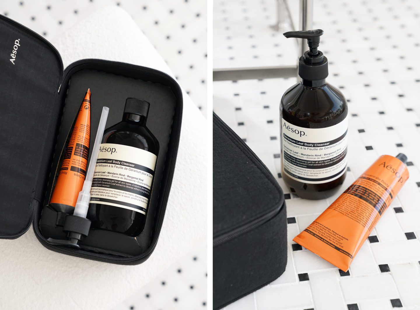 Aesop Basic Body Duo | Fashion Groom Spot