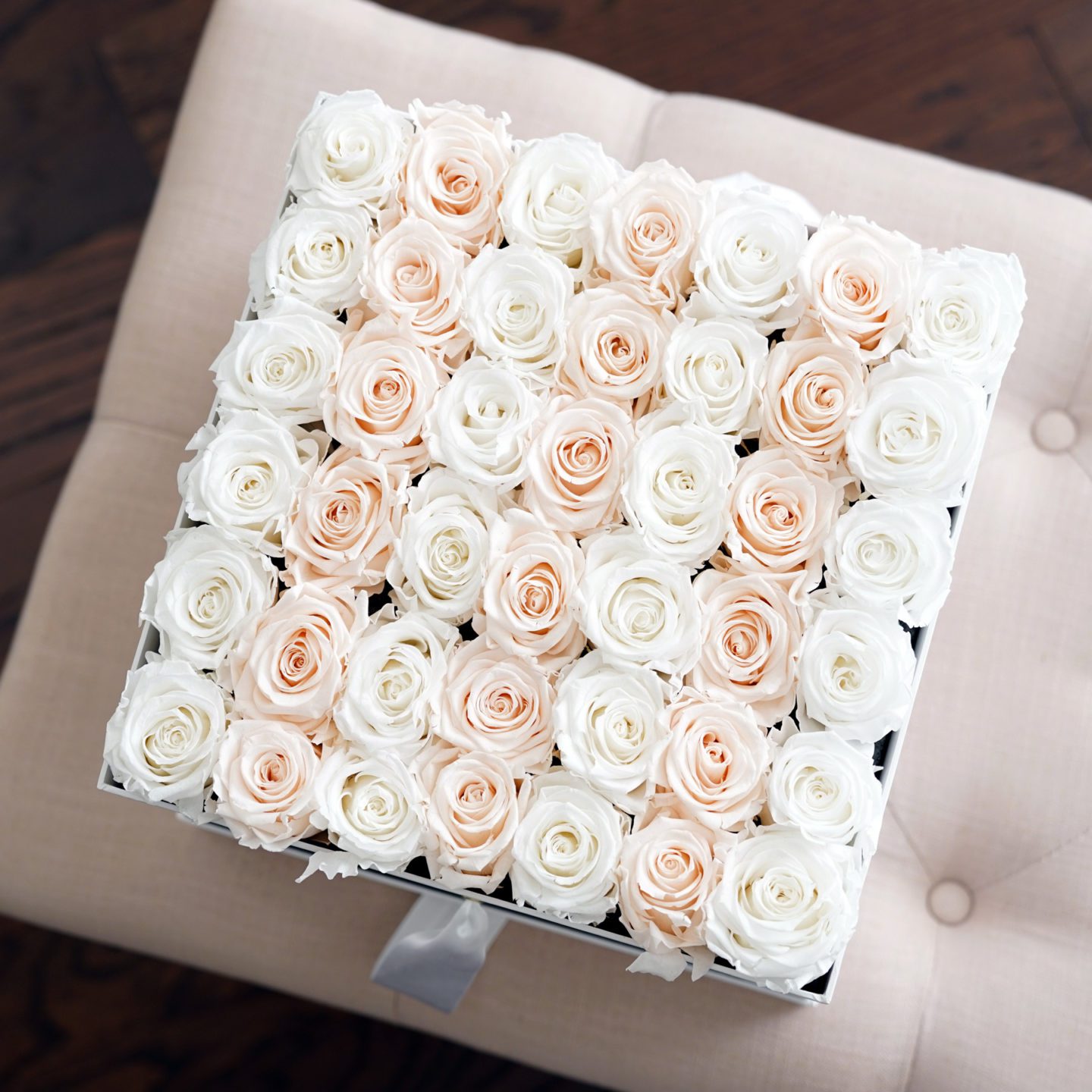 Venus Et Fleur Roses at 1 Year Mark