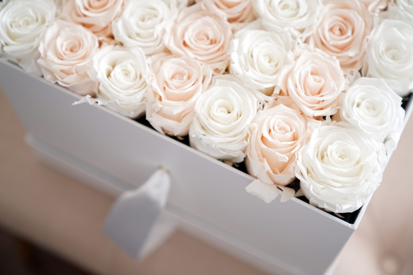 Venus Et Fleur Roses at 1 Year Mark