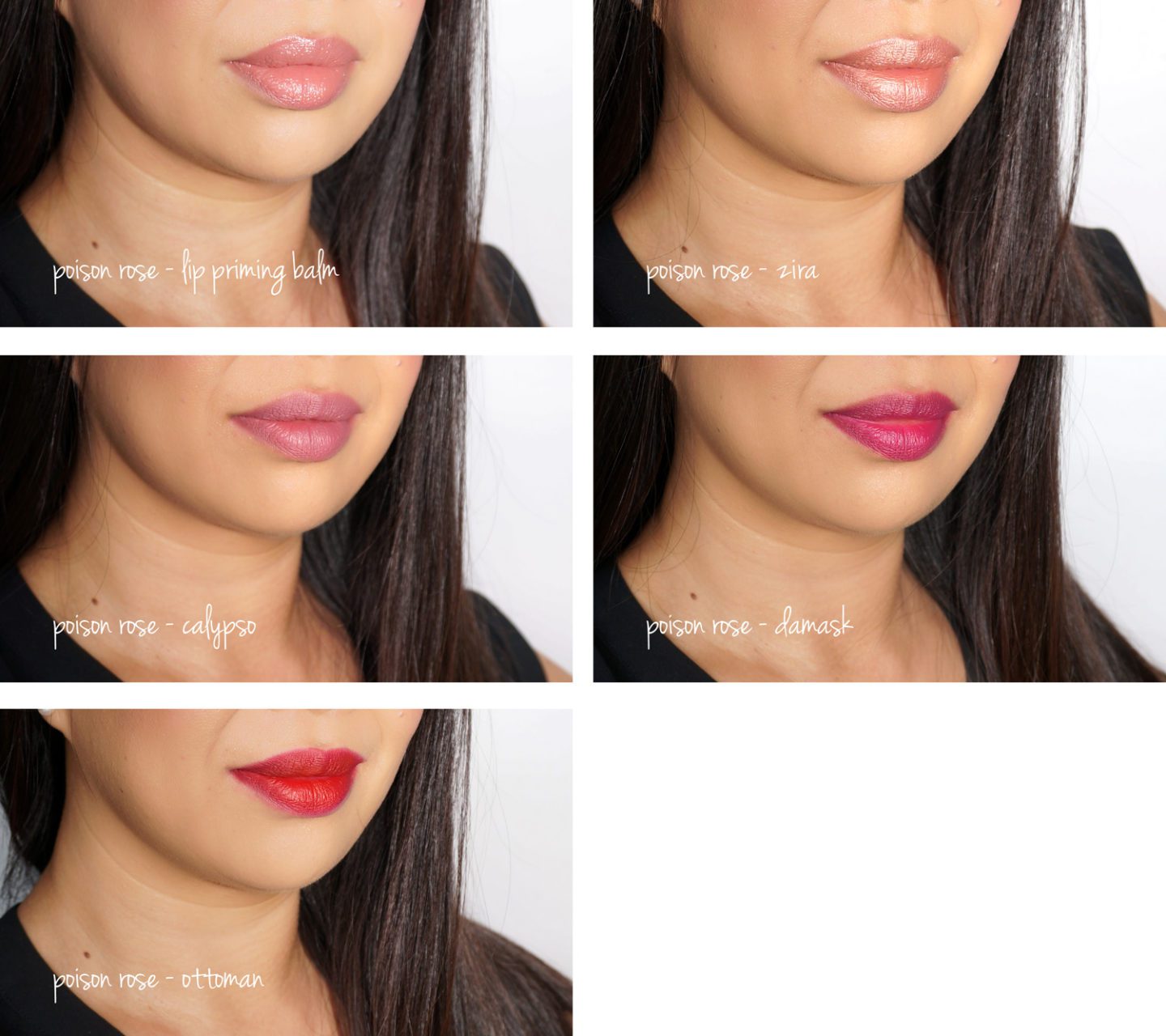 NARS Poison Rose Lip Powder Palette swatches