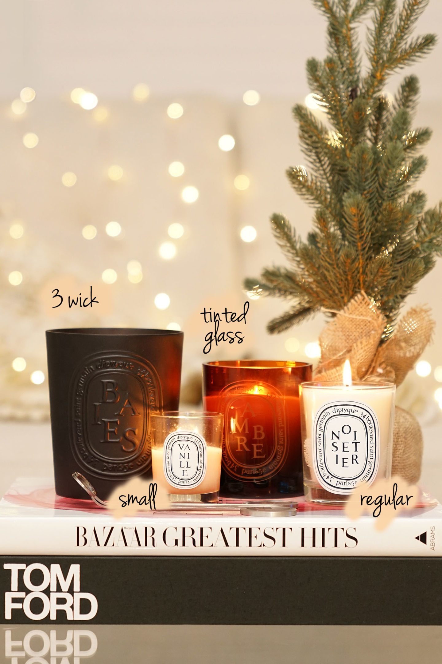 Best Diptyque Candles Baies, Vanille, Ambre and Noisetier | Fashion Groom Spot