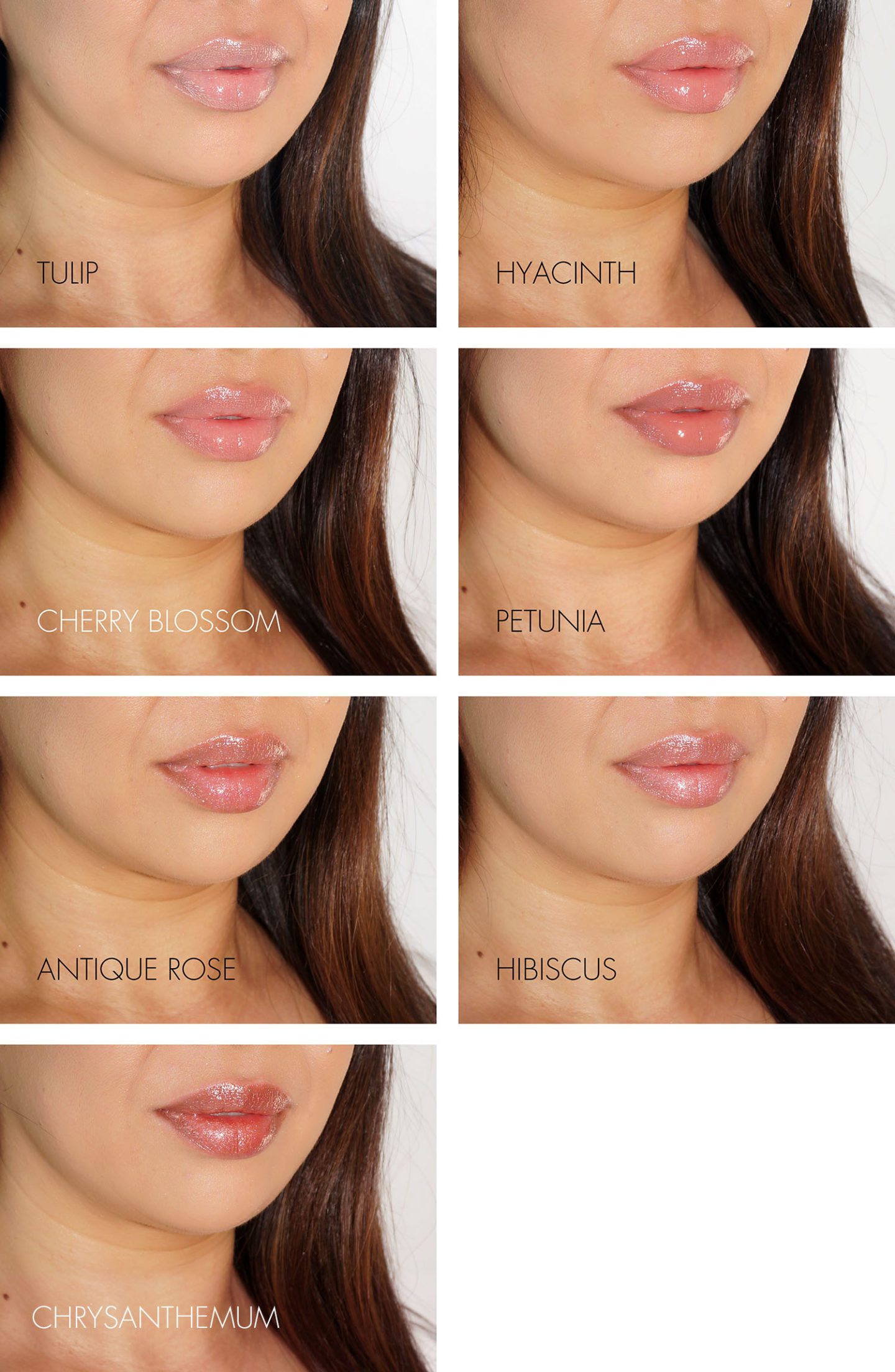 Wayne Goss The High Shine Gloss Lip Swatches