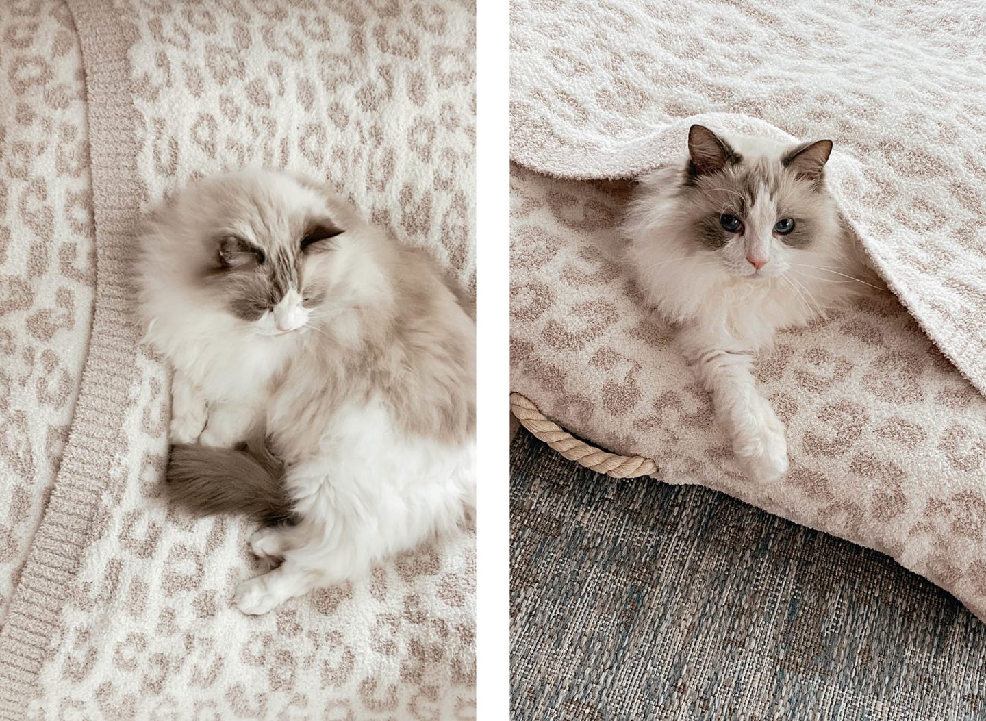 Barefoot Dreams CozyChic Leopard Pet Bed