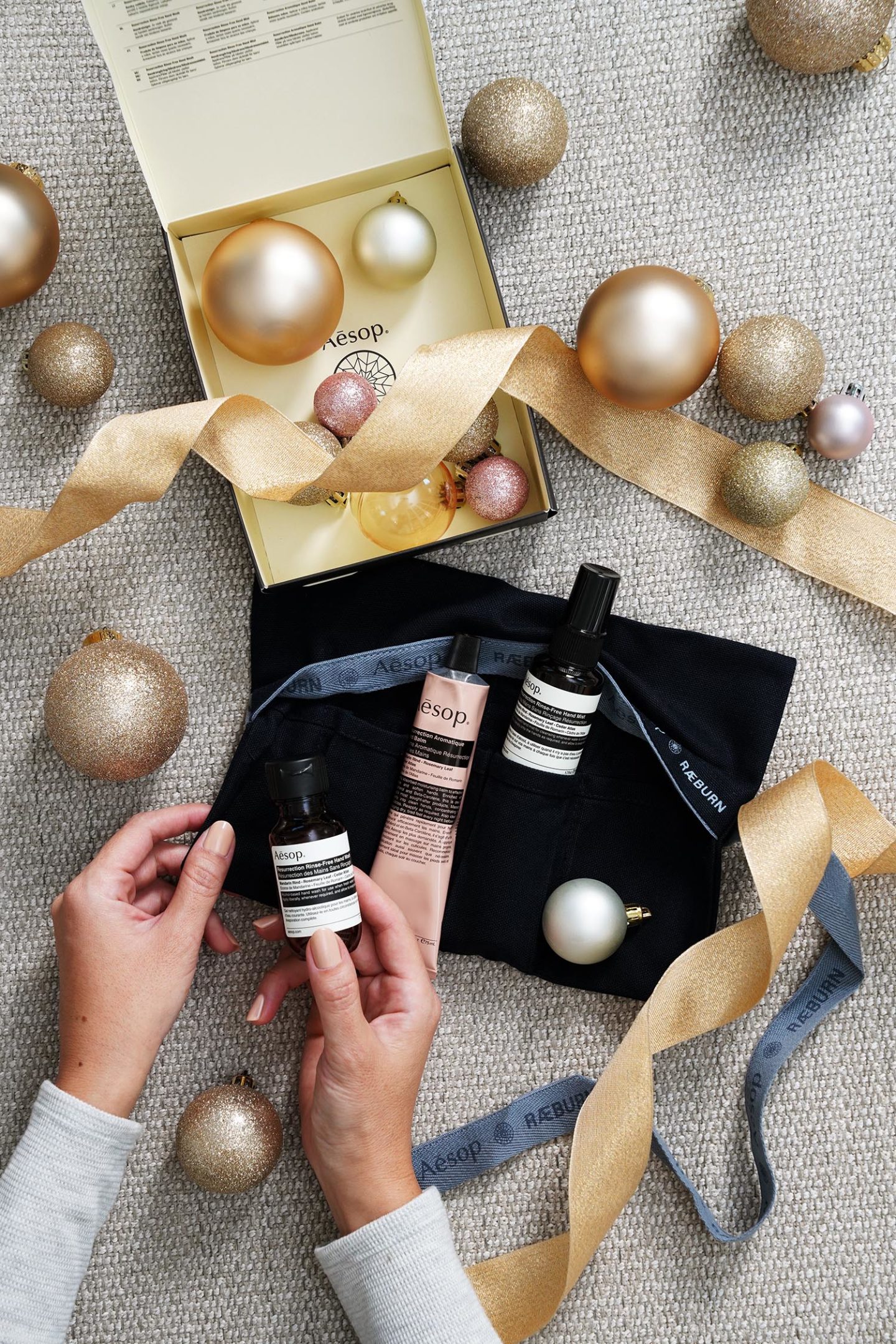 Aesop Adventurer Roll Up Set