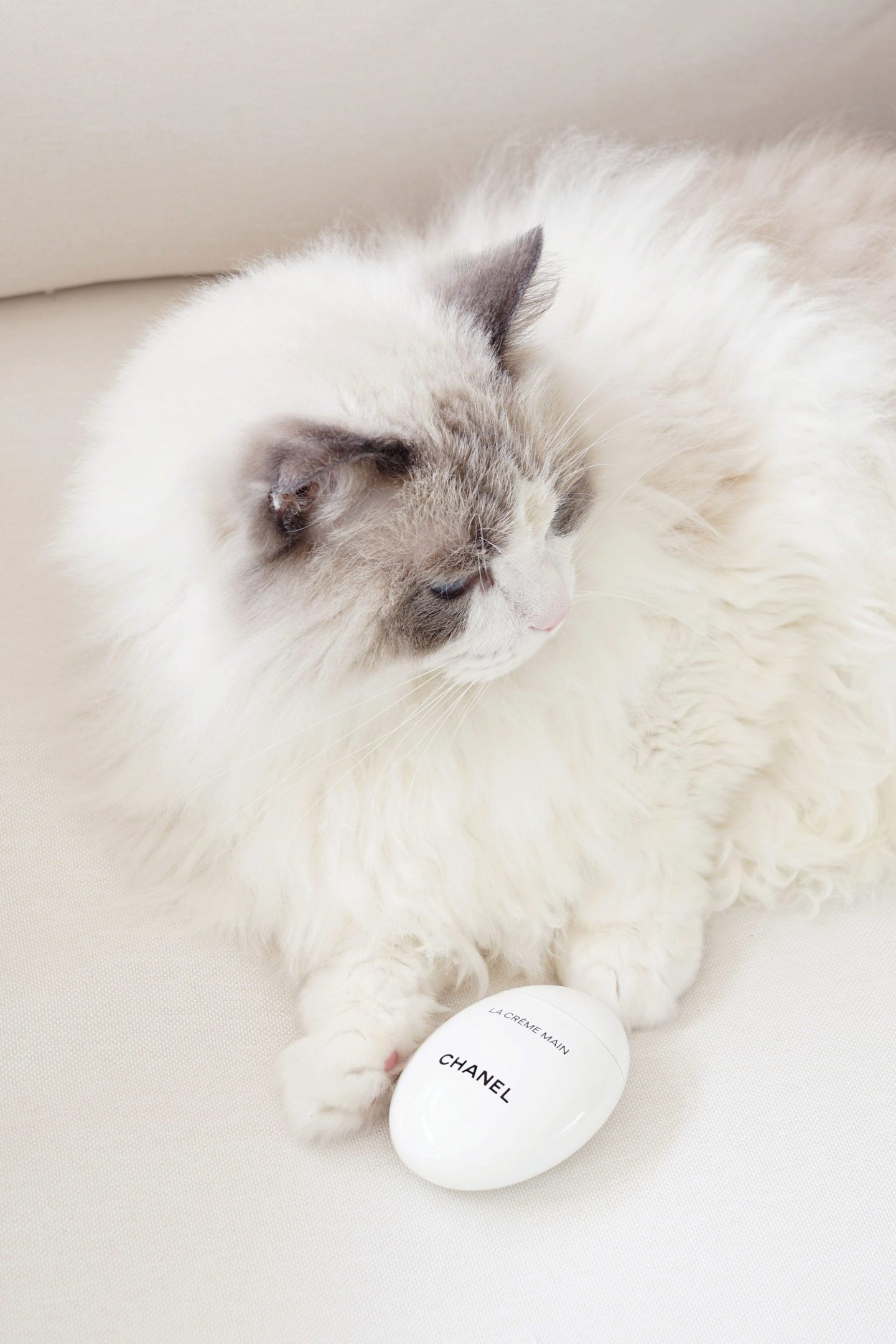 Chanel La Creme Main