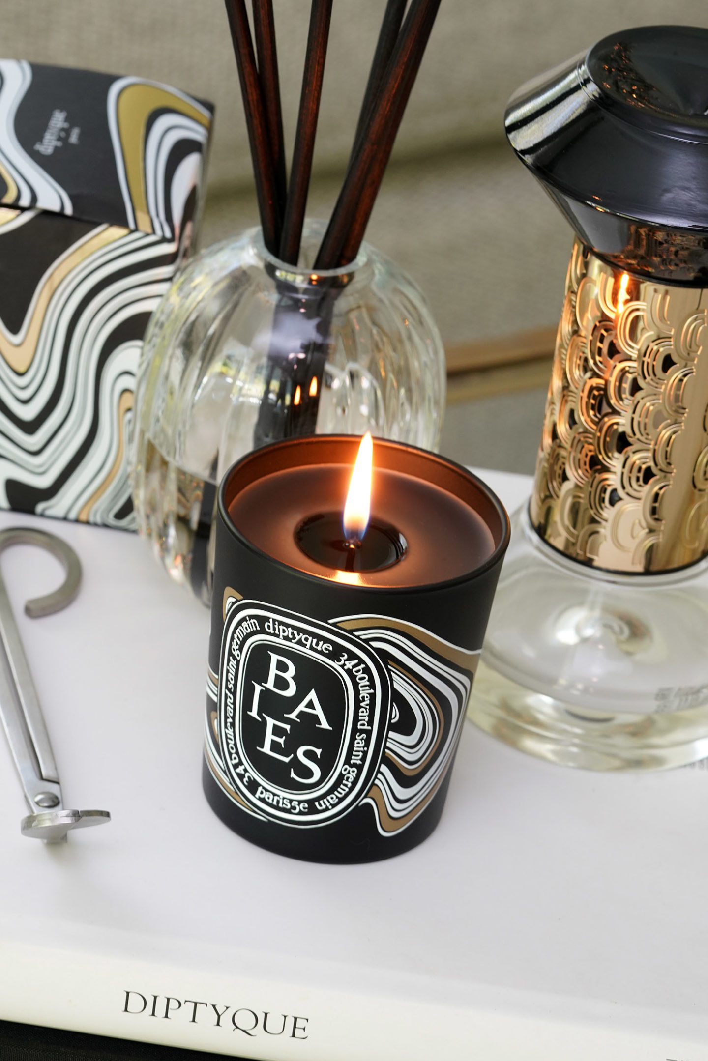 Diptyque Black Friday Baies Candle 2021