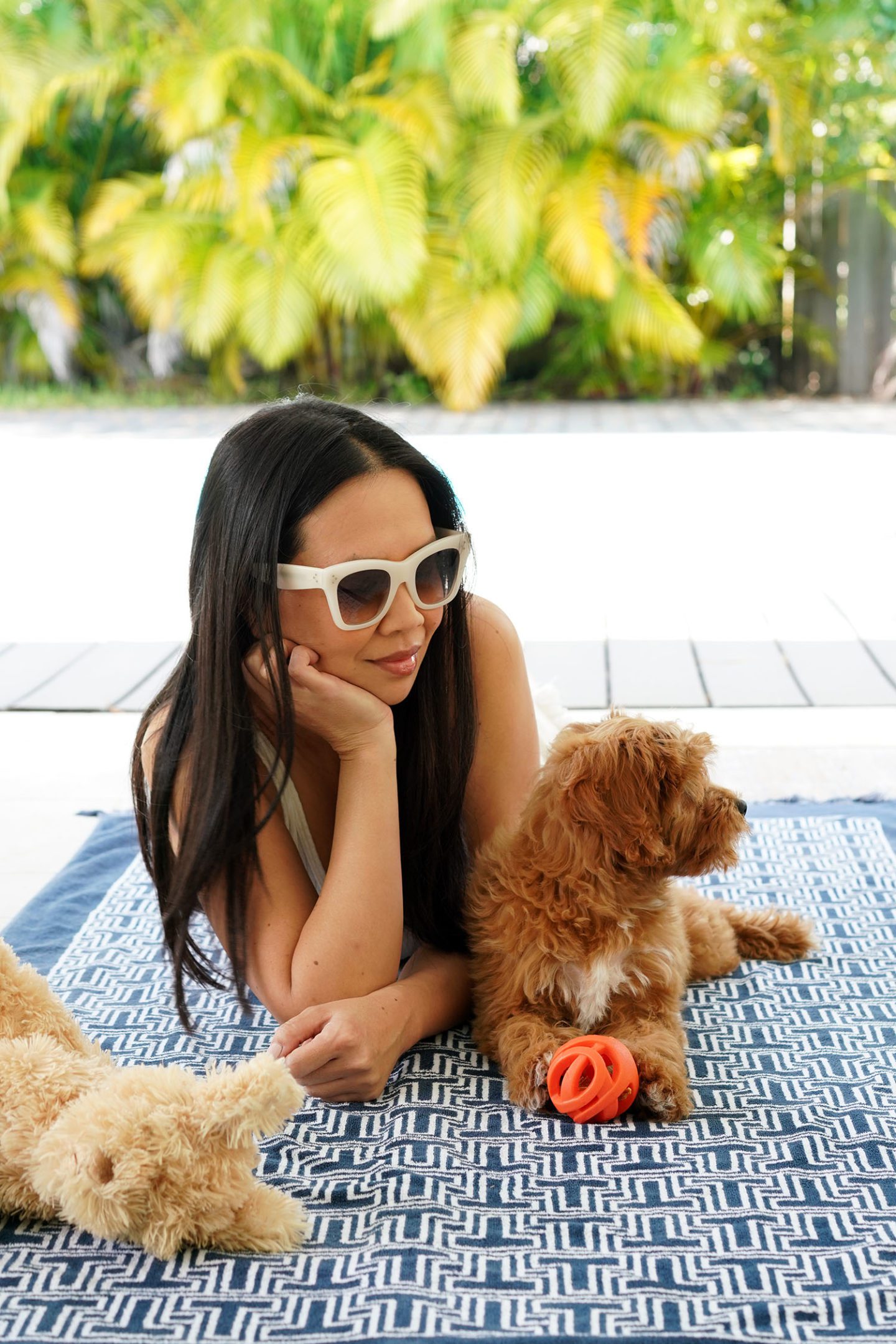 Celine 50mm Gradient Cat Eye Sunglasses in Milky White