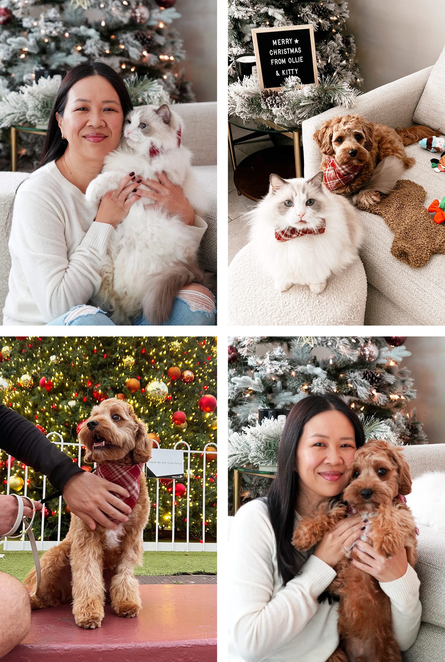 Merry Christmas 2022