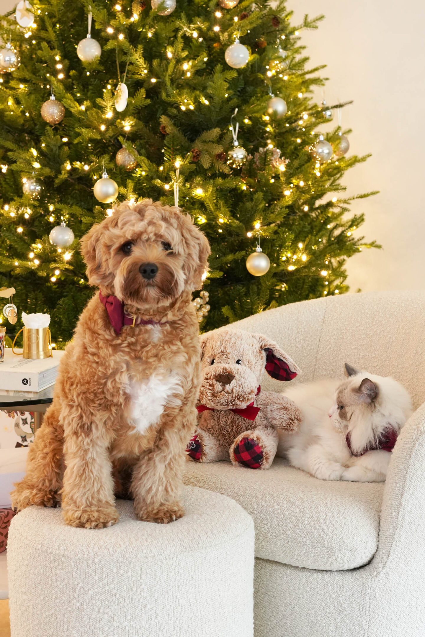 Merry Christmas 2023