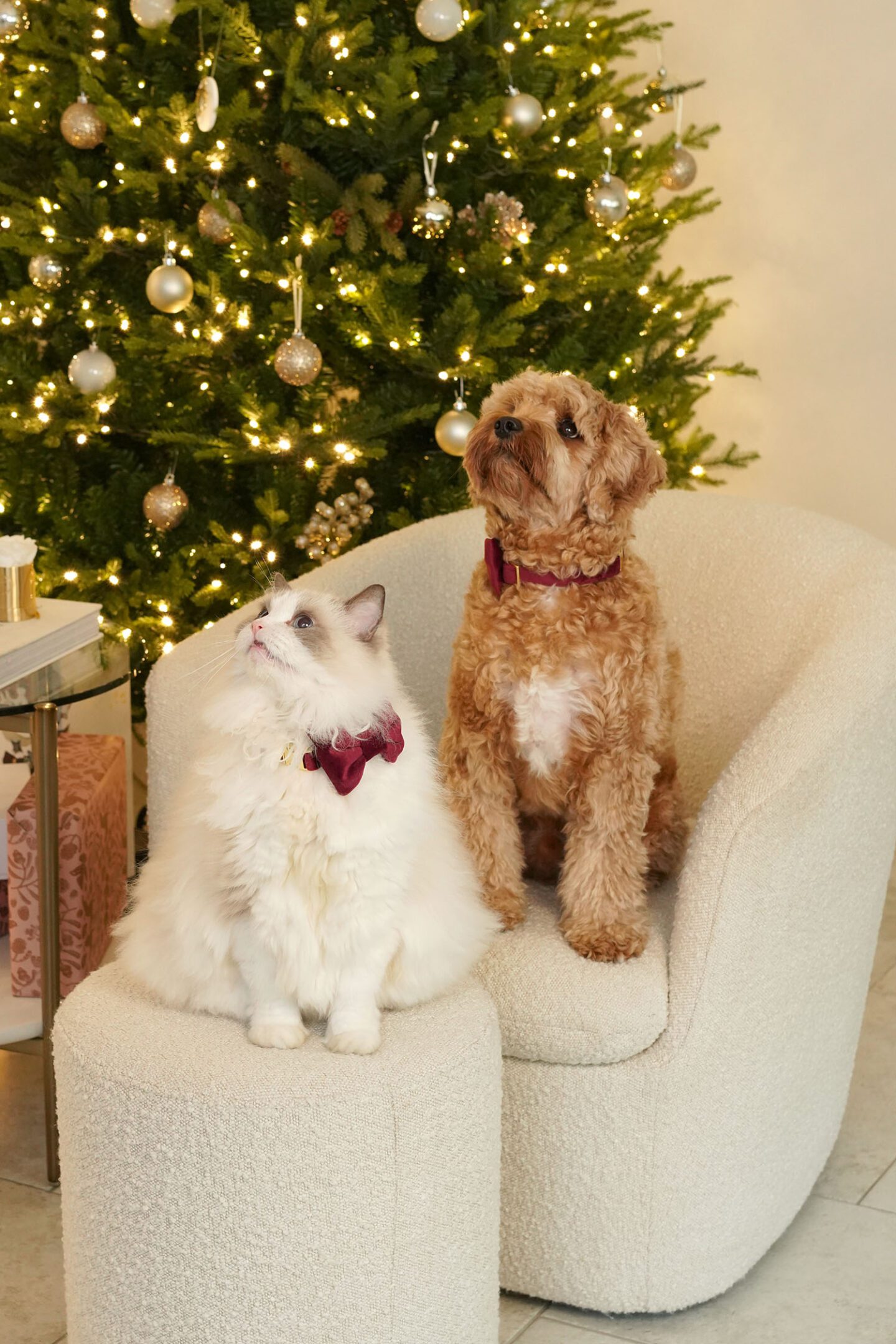 Merry Christmas 2023