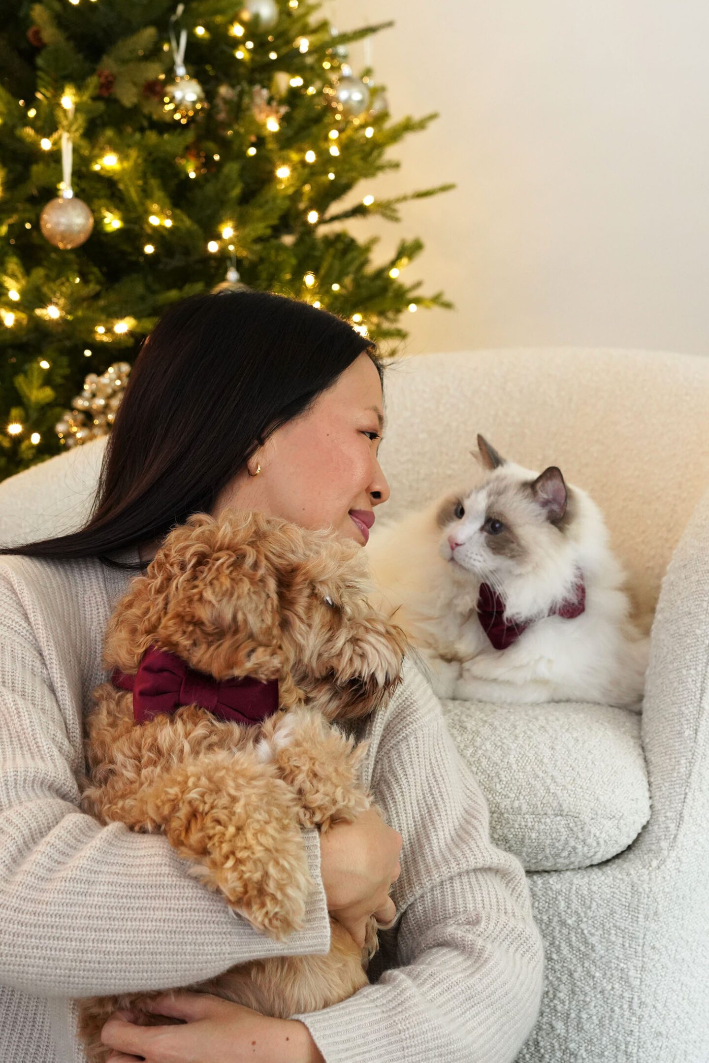 Merry Christmas 2023