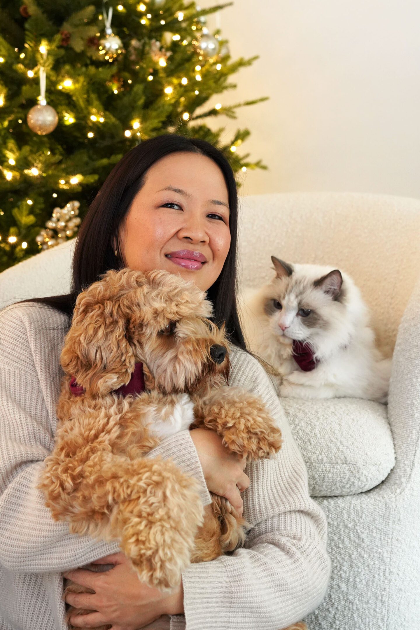 Merry Christmas 2023